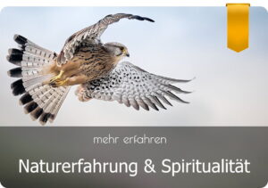 Turmfalke im Flug - Naturerfahrung und Spiritualität