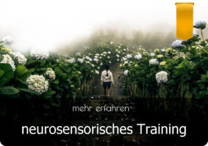eine junge Frau geht Steintreppen in einem Hortensiengarten hinunter - neurosensorisches Training