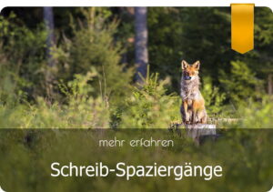 Schreib-Spaziergänge - ein Fuchs sitzt im Wald auf einem Baumstumpf