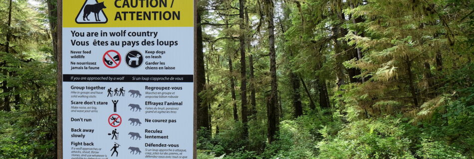 Info-Tafel mit Wölfen sein im Pacific Rim Nationalpark in Kanada